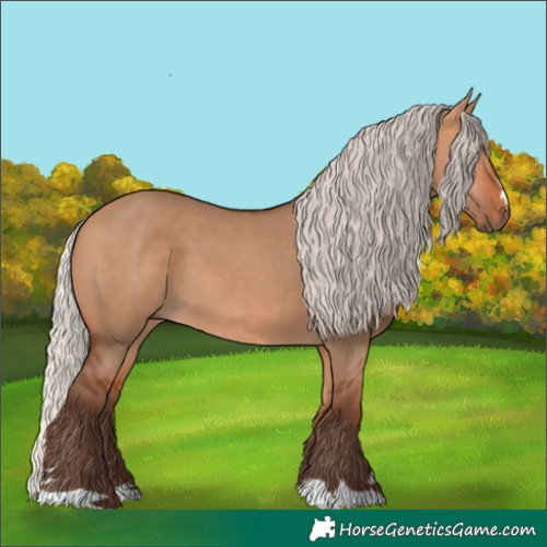 Horse Color:Silver Bay Dun
