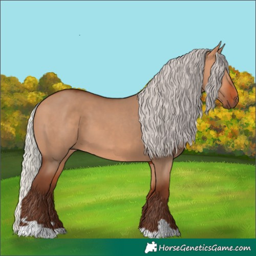 Horse Color:Silver Bay Dun