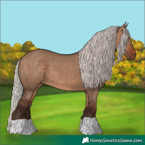 Horse Color:Silver Bay Dun