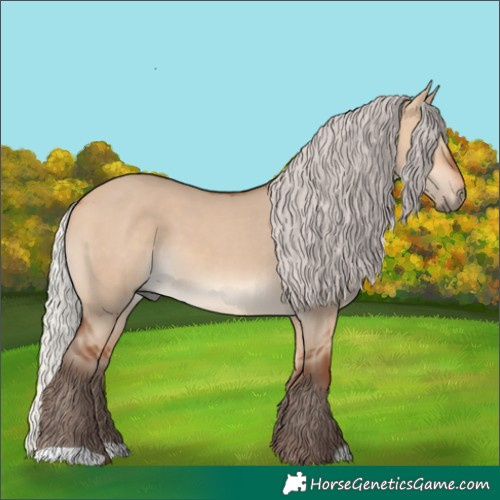 Horse Color:Silver Bay Dun