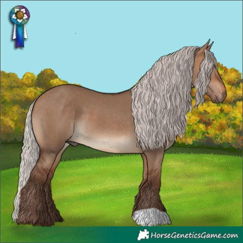 Horse Color:Silver Bay Dun