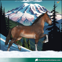 Horse Color:Brown  and Brown Tobiano 