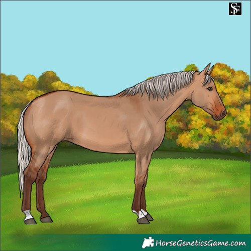 Horse Color:Silver Bay Dun 