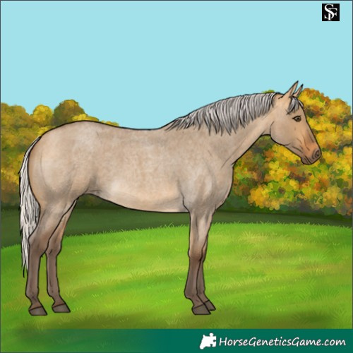 Horse Color:Silver Buckskin Roan Dun