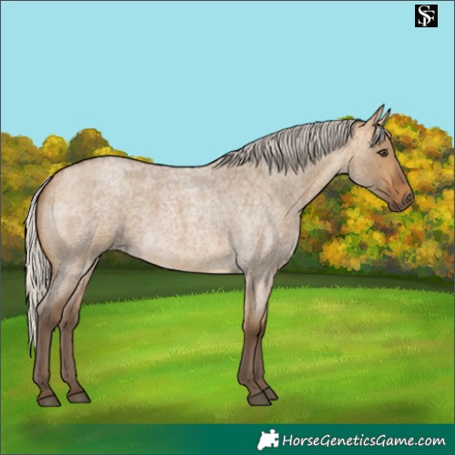 Horse Color:Silver Buckskin Roan Dun