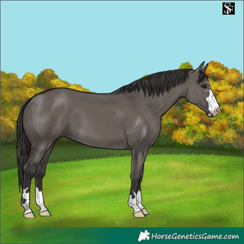 Horse Color:Platinum Smoky Grullo 
