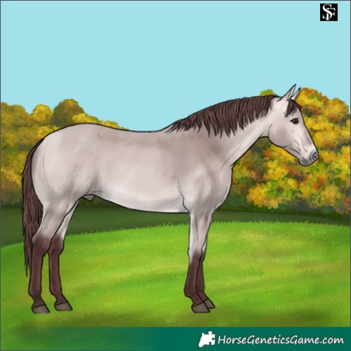 Horse Color:Platinum Chocolate Buckskin