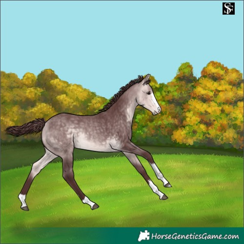 Horse Color:Platinum Chocolate Buckskin 