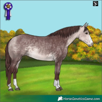 Horse Color:Platinum Chocolate Buckskin 