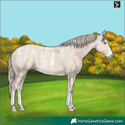Horse Color:Powder White Smoky Creme