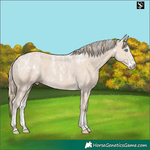 Horse Color:Powder White Chocolate Smoky Creme