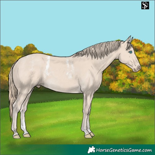 Horse Color:Powder White Chocolate Smoky Creme 