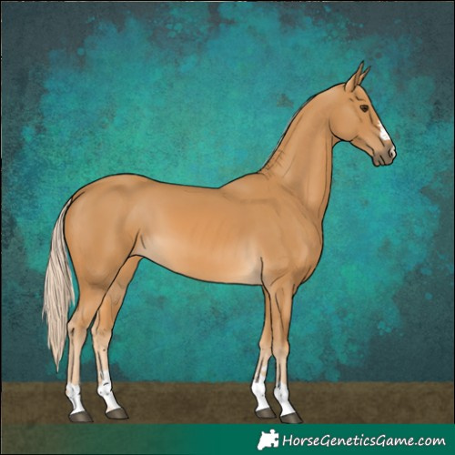 Horse Color:Palomino 