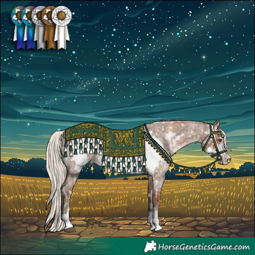 Horse Color:Palomino Sabino Splash Frame Blanket and Silver Blue Roan Frame Rabicano