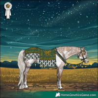 Horse Color:Palomino Sabino Splash Frame Appaloosa and Silver Blue Roan Frame Rabicano