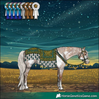 Horse Color:Palomino Sabino Splash Frame Blanket  and Silver Blue Roan Frame Rabicano 