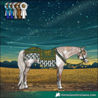 Horse Color:Palomino Sabino Splash Frame Blanket  and Silver Blue Roan Frame Rabicano 