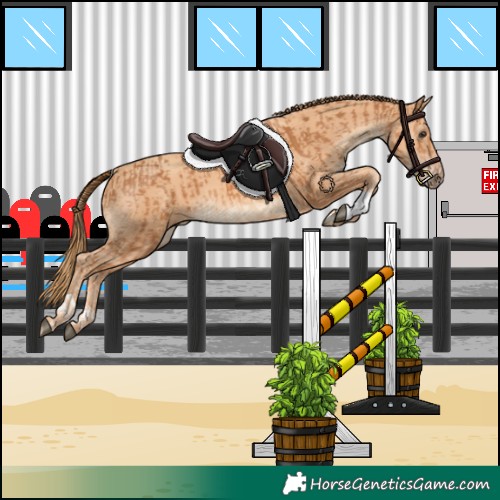 Horse Color:Chestnut  and Gold Champagne 