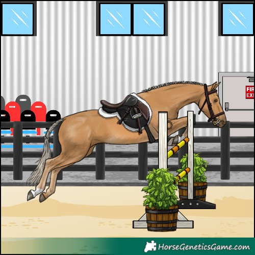 Horse Color:Palomino 