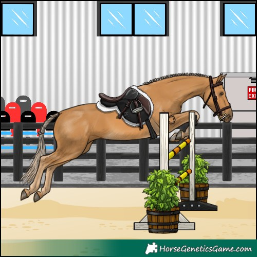 Horse Color:Palomino 