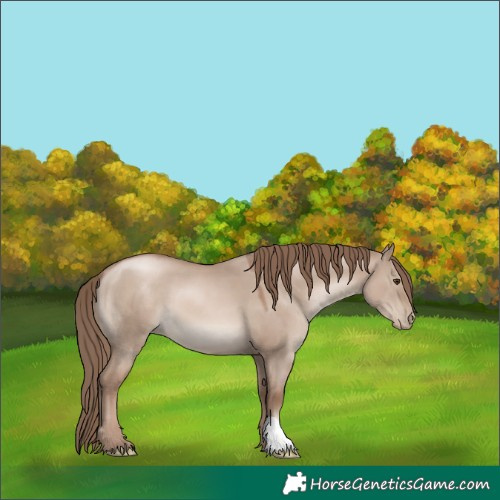 Horse Color:Grullo Pearl Mushroom