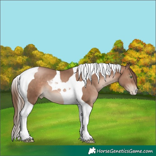 Horse Color:Brown Pearl Mushroom Tobiano 