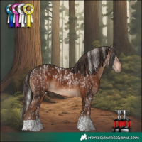 Horse Color:Powder White White Spotted Silver Brown  and Powder White Liver Chestnut Tobiano 