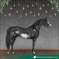 Horse Color:Black and Black Frame