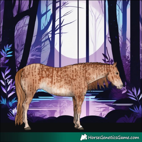Horse Color:Chestnut and Gold Champagne