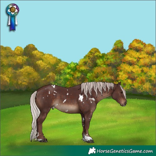 Horse Color:White Spotted Chocolate Silver Brown Tobiano