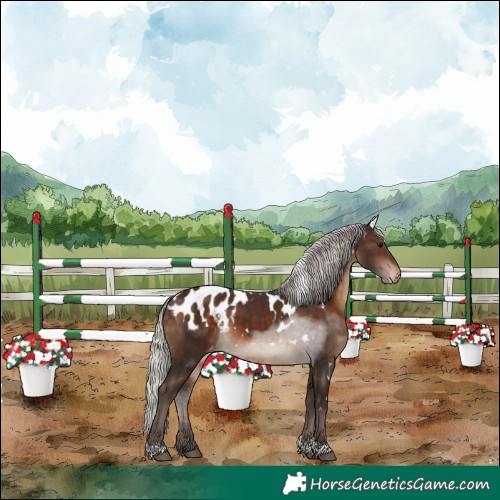 Horse Color:White Spotted Silver Brown Tobiano Skewed Appaloosa
