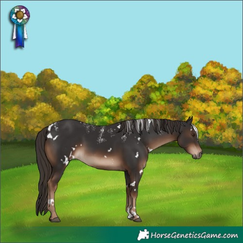 Horse Color:Powder White White Spotted Liver Chestnut