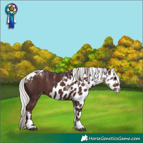 Horse Color:Powder White Chocolate Silver Brown Tobiano Skewed Appaloosa