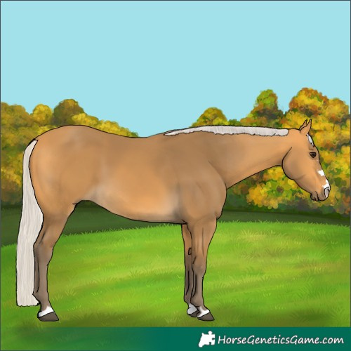 Horse Color:Silver Buckskin