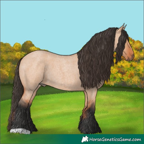 Horse Color:Bay Roan Dun