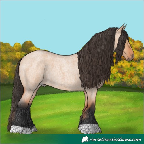 Horse Color:Bay Roan Dun 