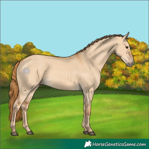 Horse Color:Red Dun