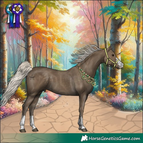 Horse Color:Silver Smoky Black