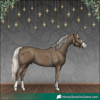 Horse Color:Silver Smoky Black 