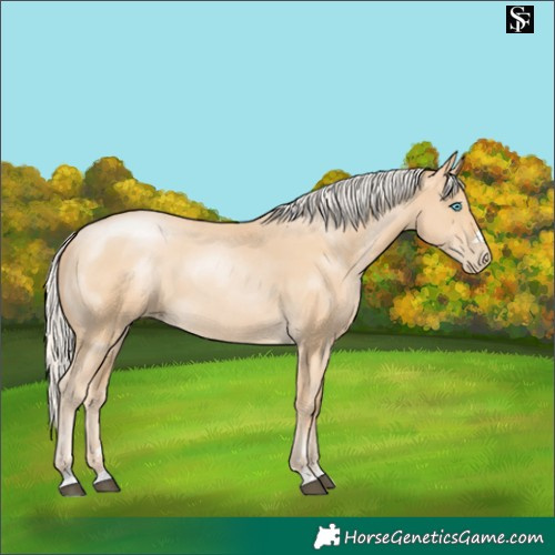 Horse Color:Silver Smoky Black