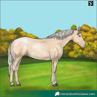 Horse Color:Silver Smoky Black 