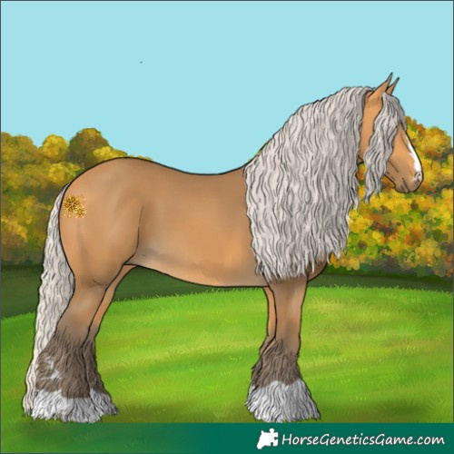 Horse Color:Silver Buckskin 