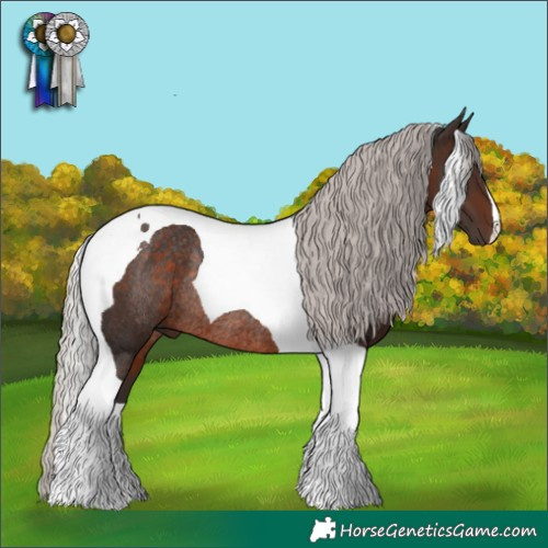 Horse Color:Silver Brown Tobiano Rabicano