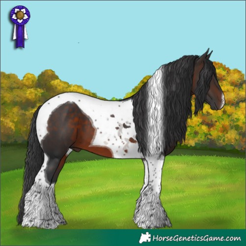 Horse Color:Brown Tobiano