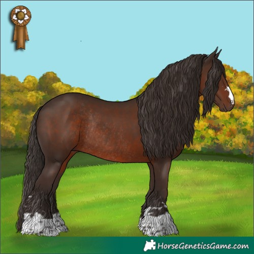 Horse Color:Liver Chestnut Rabicano