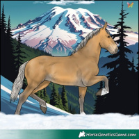 Horse Color:Silver Buckskin