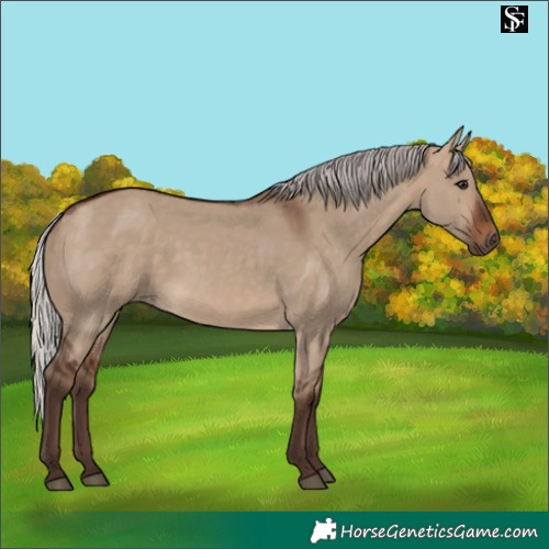 Horse Color:Silver Brown Dun