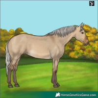 Horse Color:Silver Buckskin Dun 