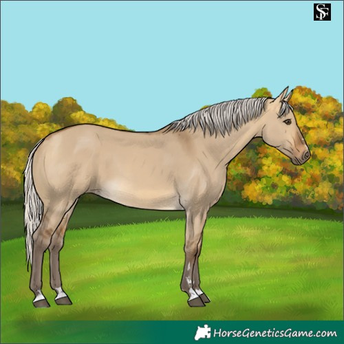 Horse Color:Silver Buckskin Dun
