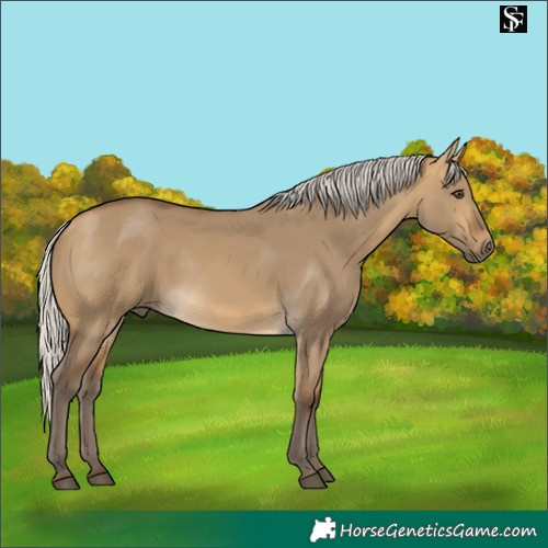 Horse Color:Silver Buckskin Dun 